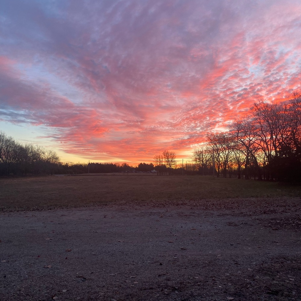 Meet your Posher, Timothy